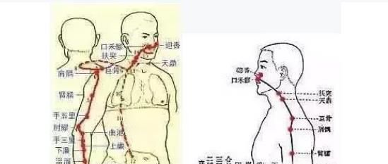 敲肝经的正确方法图解