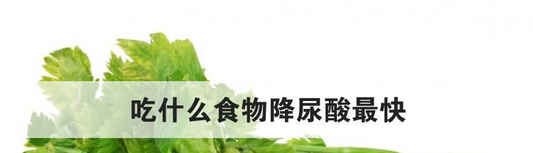 吃什么食物降尿酸最快