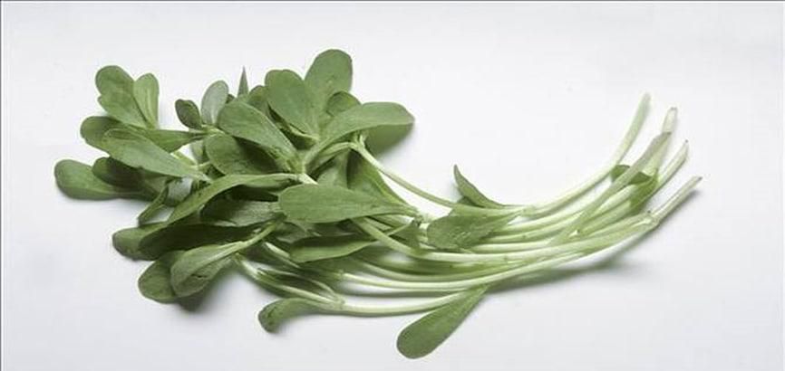 常吃豆瓣菜有什么好处