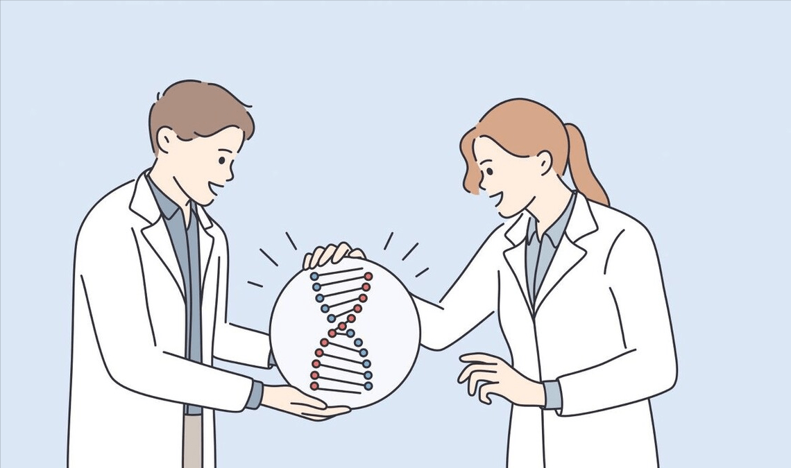 哪种体型的人更容易长寿？研究结果可能让人意外