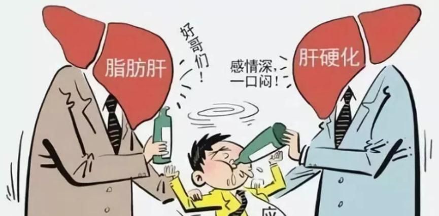 长期熬夜护肝吃什么合适
