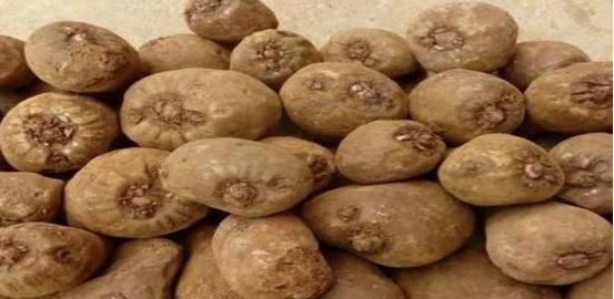 降血糖吃什么菜最好