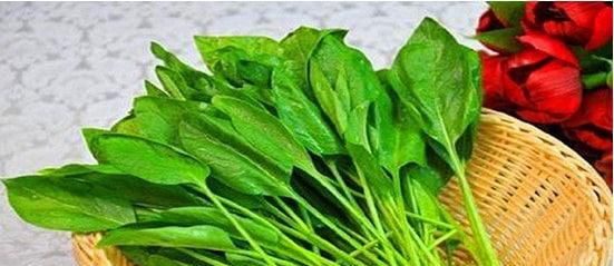 小孩吃菠菜好不好