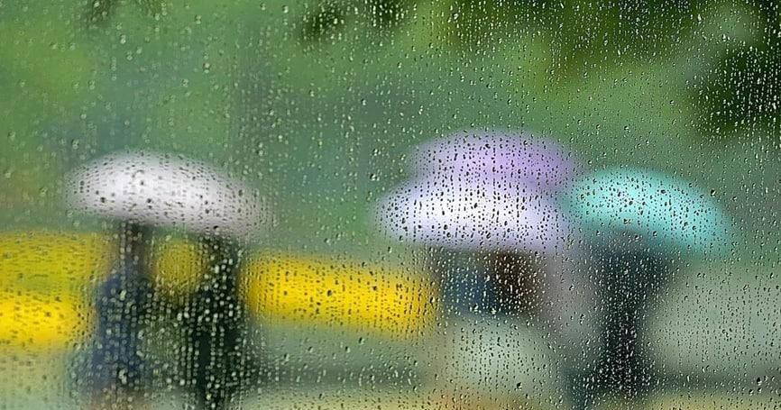 淋了雨要不要洗澡