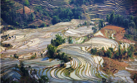 三四月份哪里旅游最好玩 什么地方旅游便宜有好玩